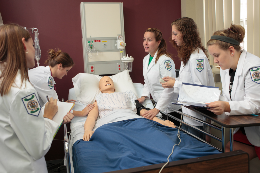 Endicott College To Offer New Tracks In Masters Nursing 1024x683 
